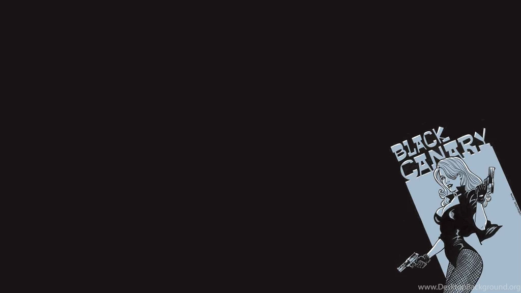 41 Black Canary HD Wallpapers