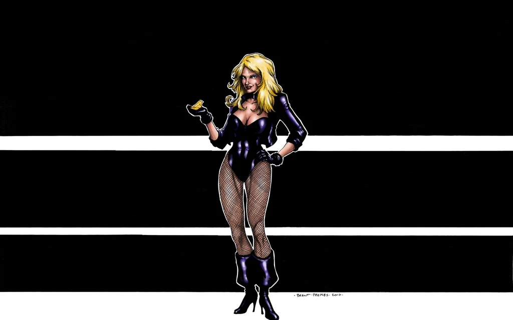 Black Canary Dc Comics Blondes Sexy Babes Women Females Wallpapers ...