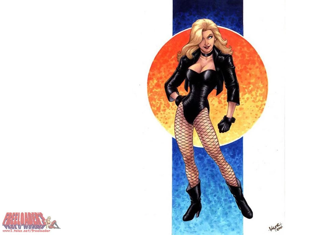 DC Comics Black Canary