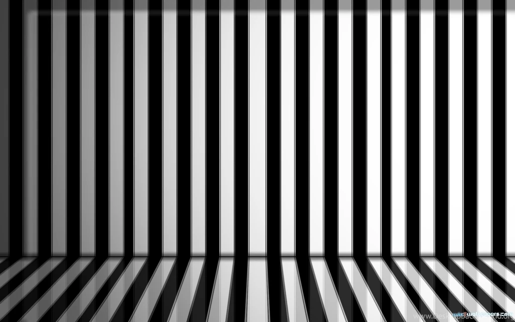 Zebra Wallpapers 5 Best Wallpapers Collection
