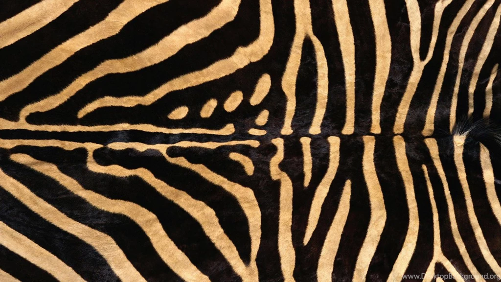 Black Zebra Fur Texture Wallpapers HD, HD Desktop Wallpapers