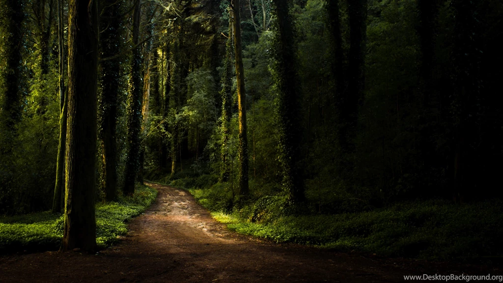 2015 10 08   Page 274