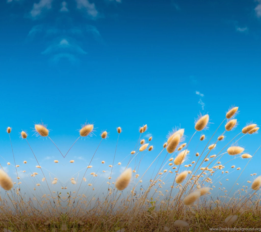 Download All HTC One M9 Official Wallpapers Here