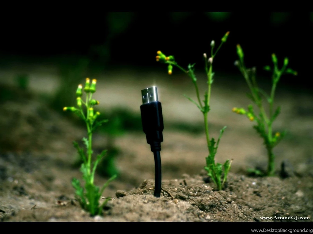 Wallpapers Usb Cable Grow Unique Wallpapers HD Desktop Mobile ...
