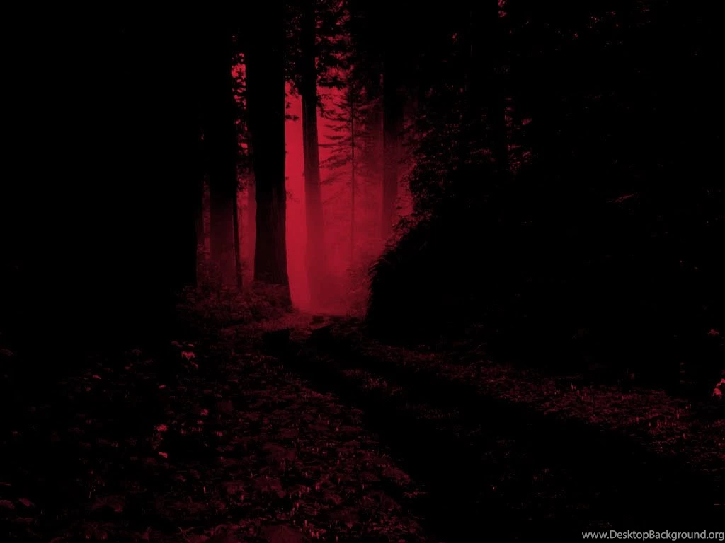 Sanctuary Of Anti Life... – Group At Last.fm