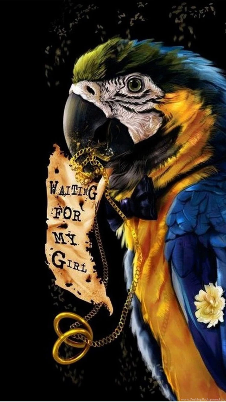 Amazing Animals Iphone 6 Wallpapers 96