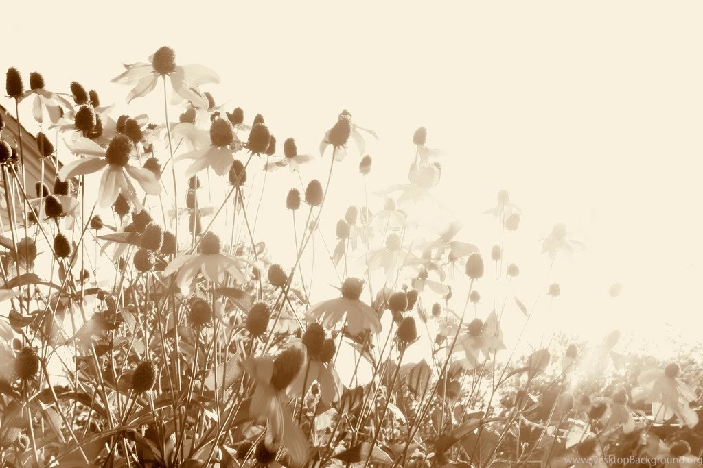 Old Fashion Backgrounds Wallpapers Zone