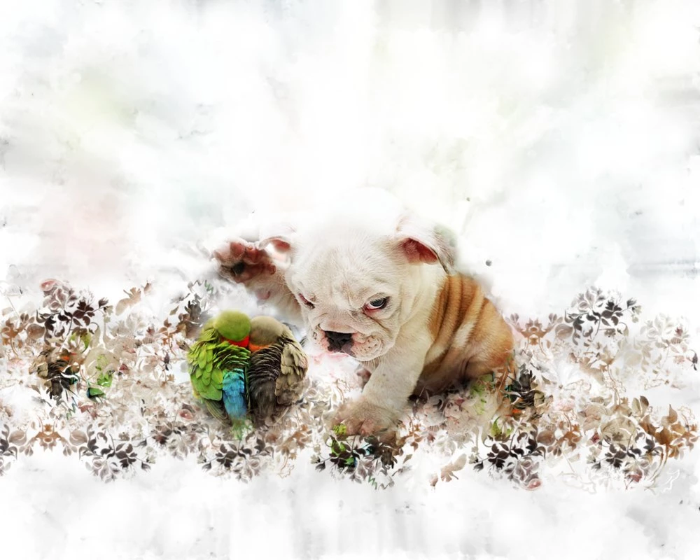 Doggy Wallpapers By Fesell On DeviantArt