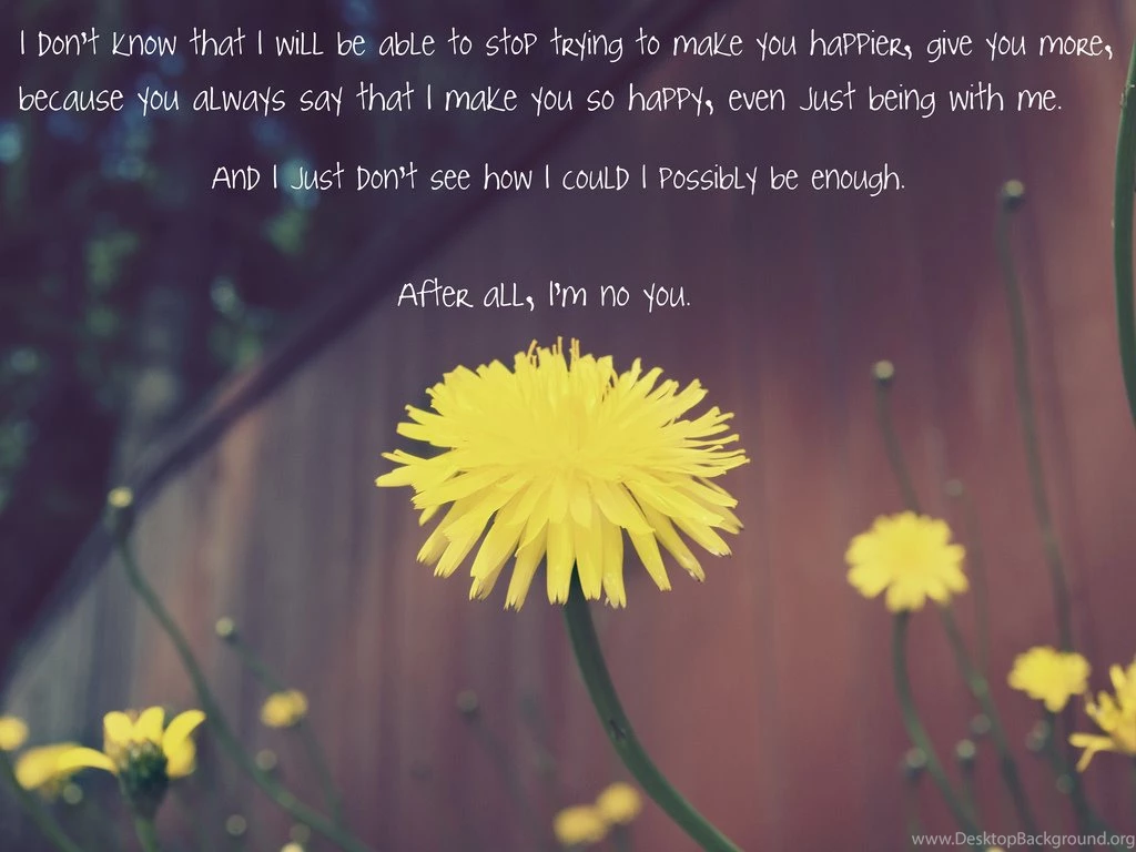 Cute Love Sayings Pictures   Wallpapers HD Fine