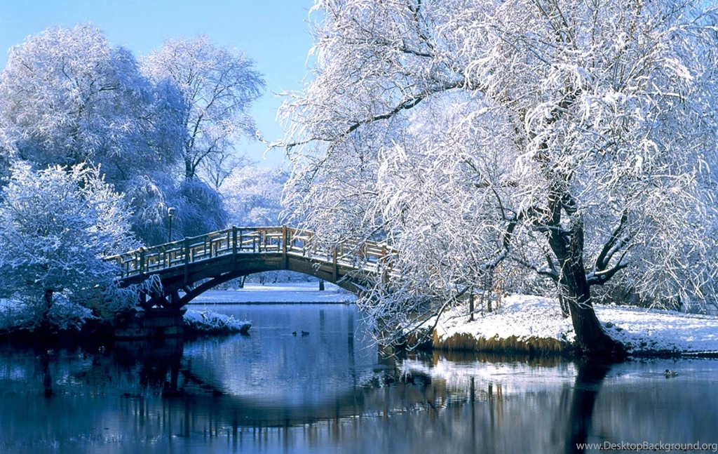 Photos Of Winter Snow Scenes Wallpapers