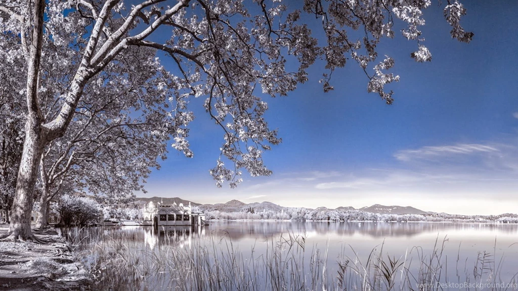 Winter Scene Backgrounds