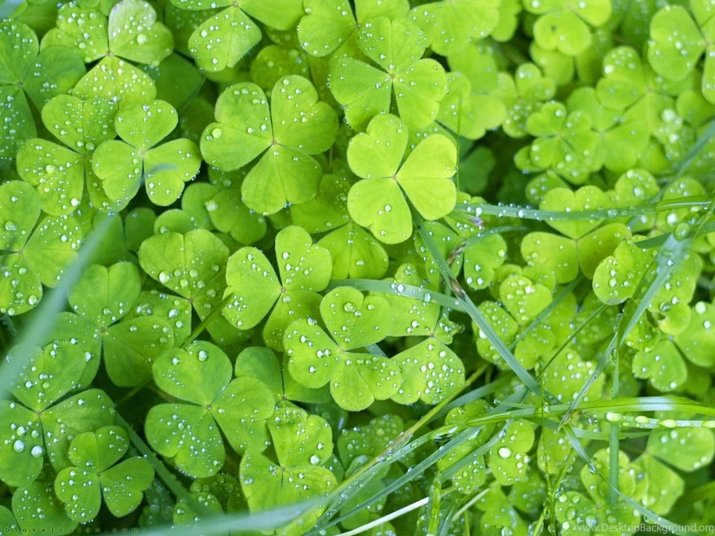 Irish Desktop Backgrounds Wallpapers Cave