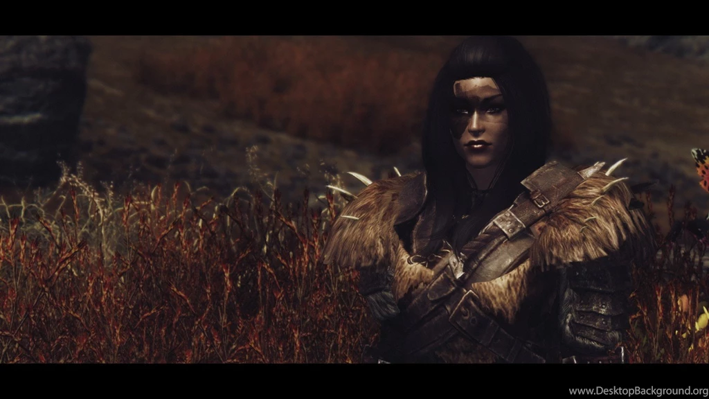 Skyrim Nexus Mods And Community