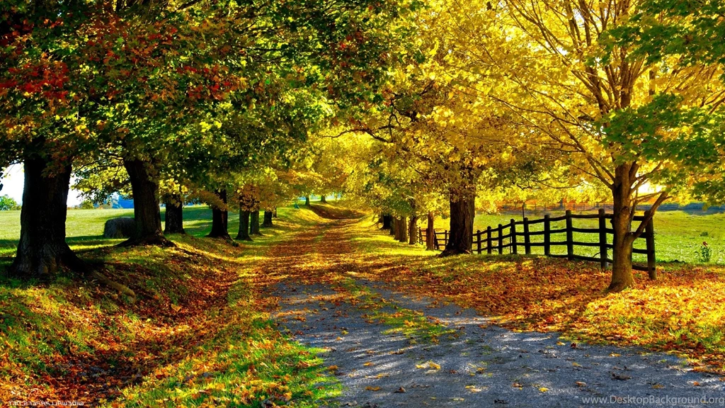 Nature Wallpapers Hd