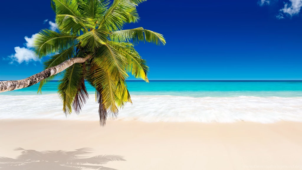 Caribbean Tropics 4K Wallpapers