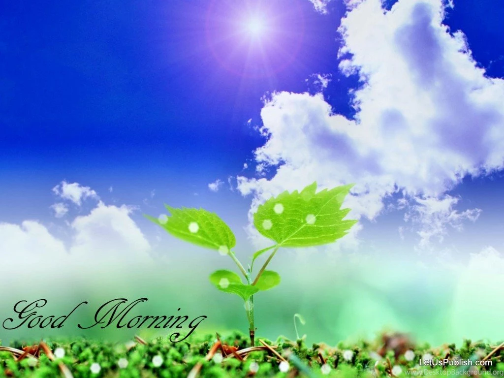 Good Morning Wallpapers Free Download