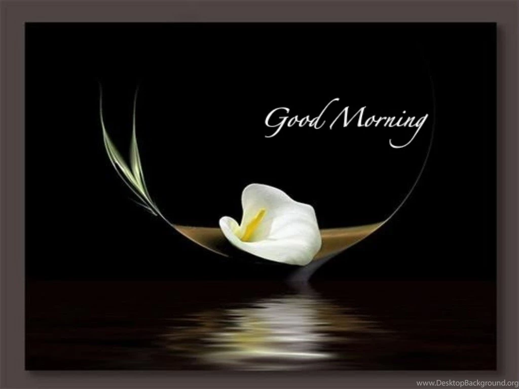 Good Morning Wish Hd Wallpapers Free Hd Wallpapers
