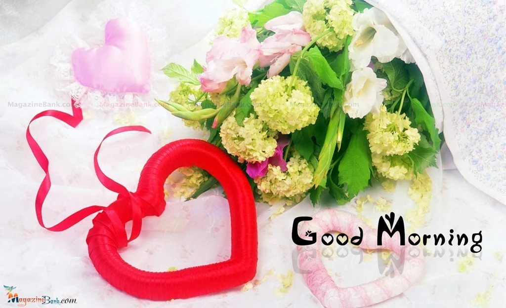 Lovely Good Morning Wallpapers Download Images