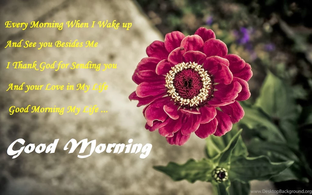 Good Morning Have A Nice Day Hd Wallpapers