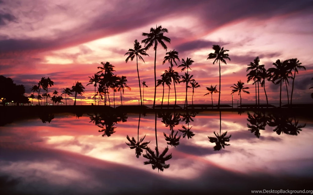 Hawaii Beach Wallpaper Backgrounds