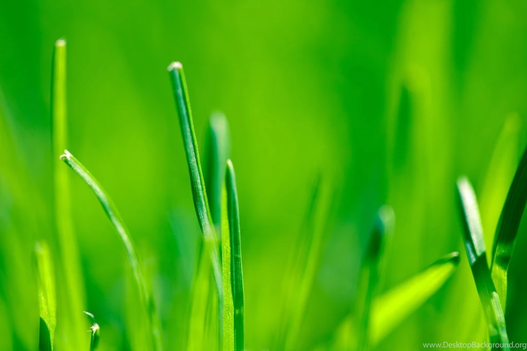 Explore This Awesome New Quad HD Wallpapers Collection (full res ...