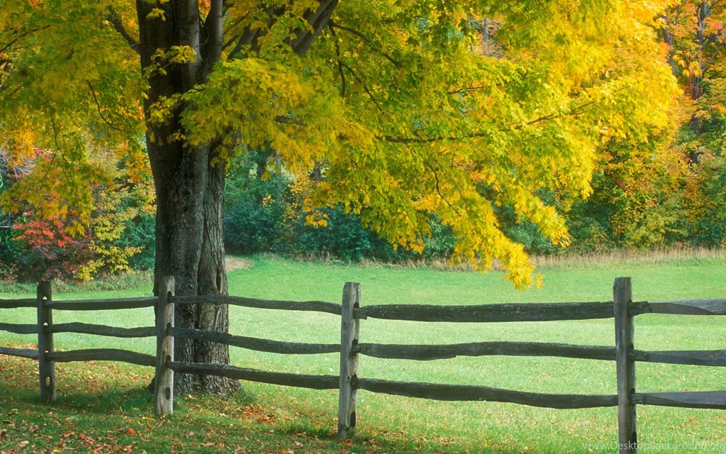Autumn Wallpapers