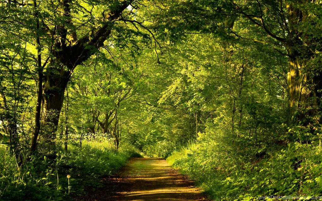 Scenery Wallpapers Collection (37+)
