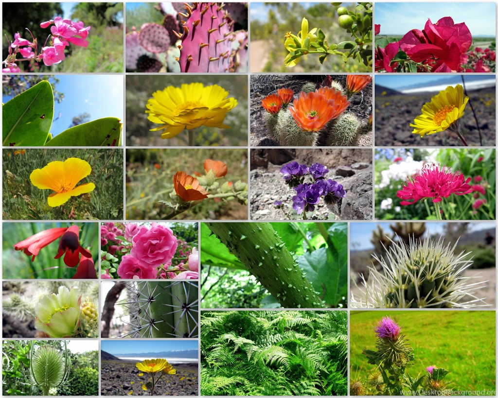 Wallpapers Nature Zip Collection Download