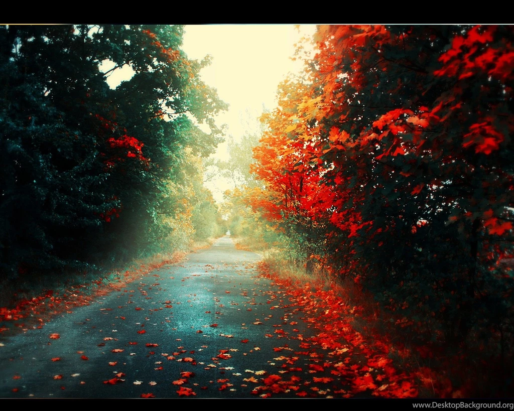 Amazing Nexus 7 Wallpapers Collection