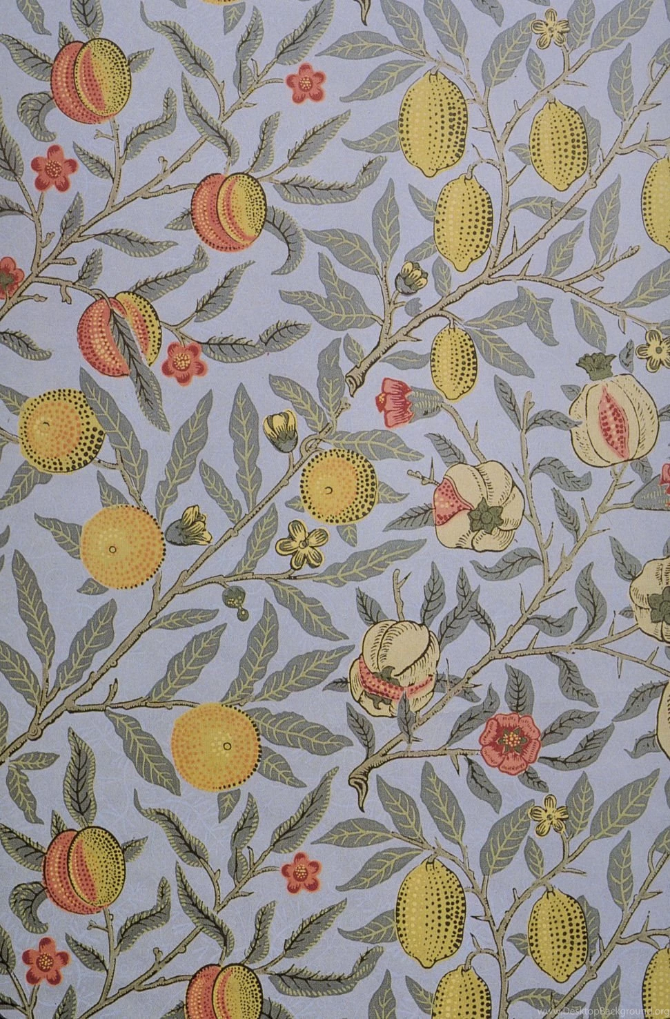 File:Morris Fruit Wallpapers C 1866.jpg   Wikimedia Commons