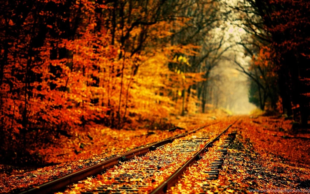 Download Autumn Wallpapers – 2560×1600 High Definition Wallpapers ...