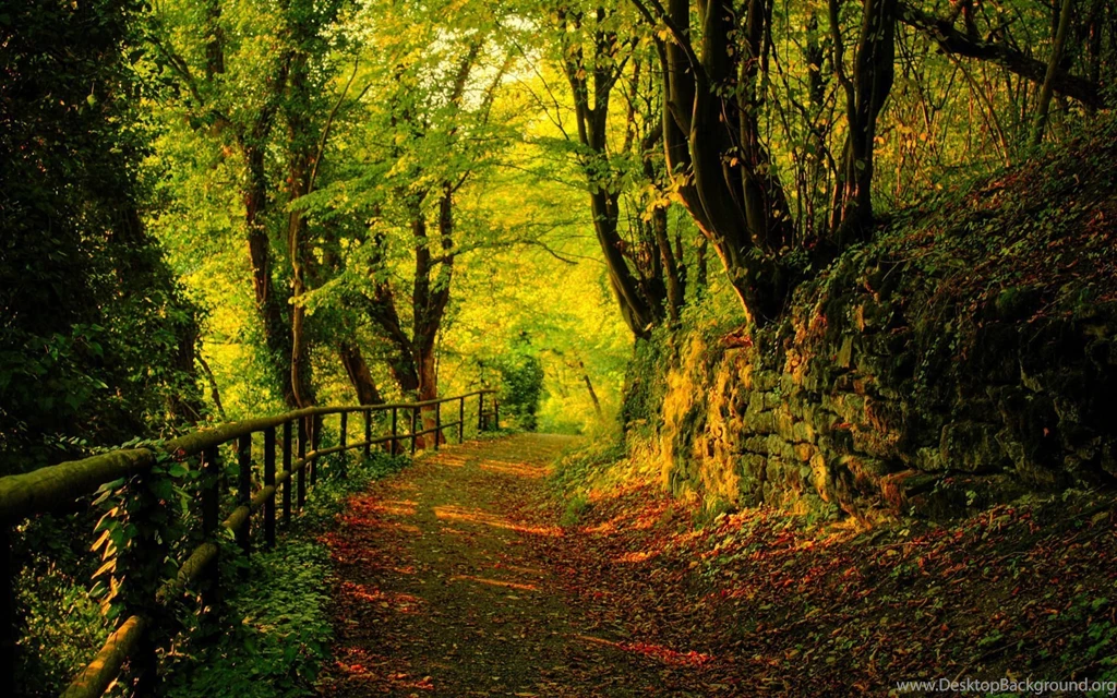 3d Fall Wallpapers Wallpapers Cave