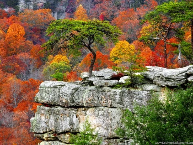 Fall Mountains Desktop Backgrounds Hd Widescreen 11 HD Wallpapers ...