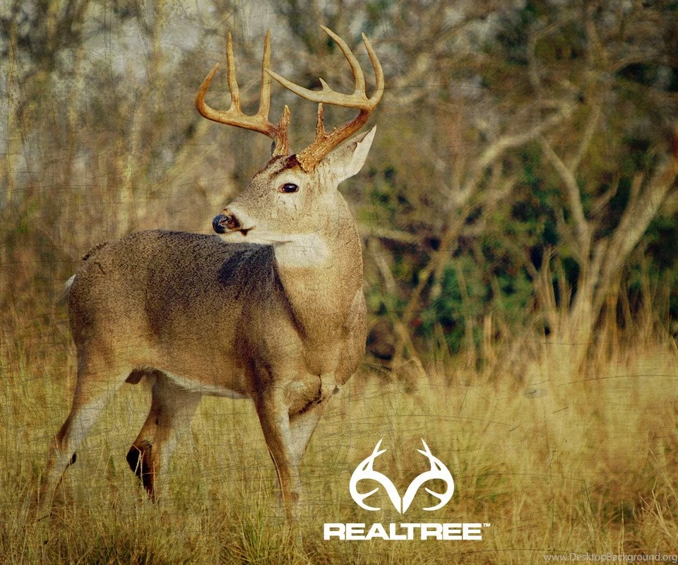 Realtree Wallpapers