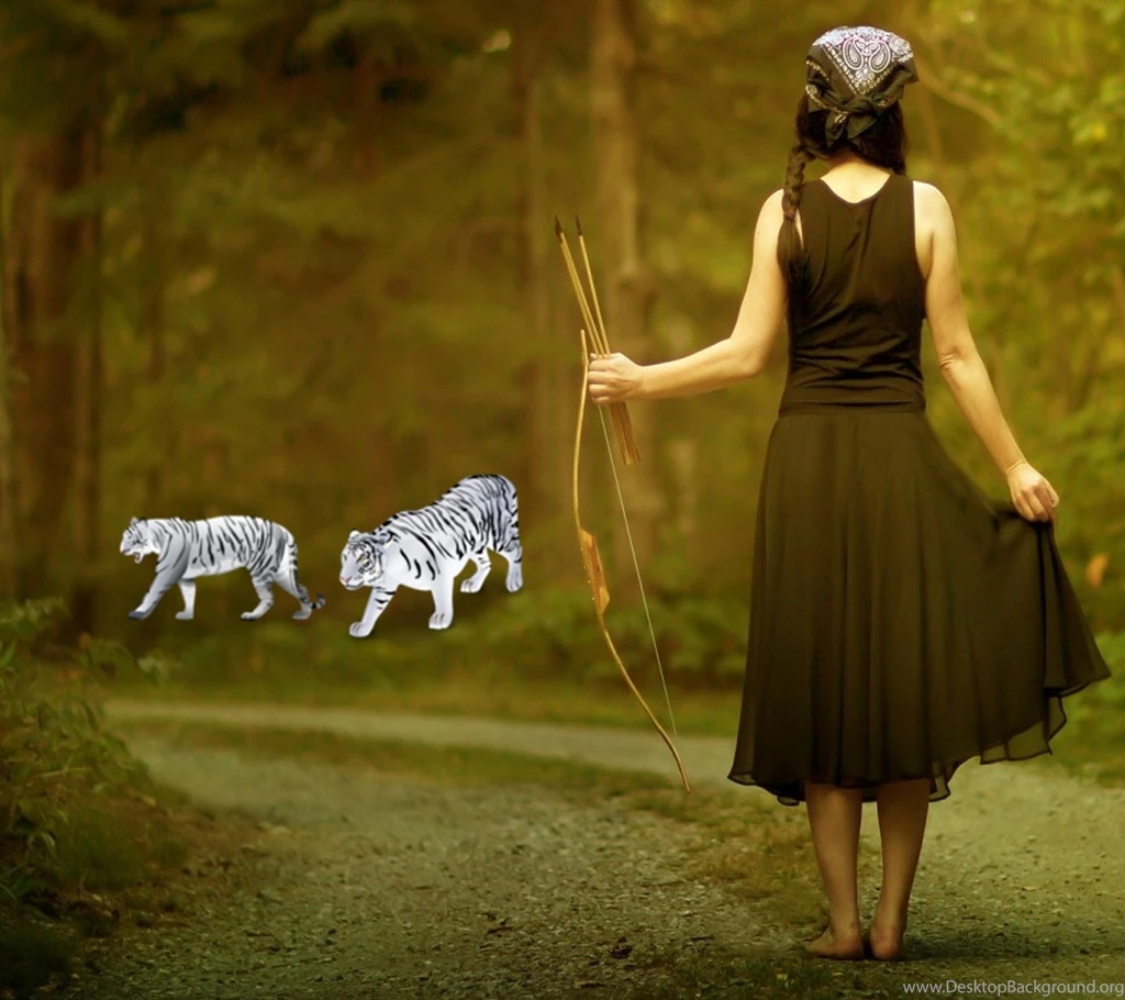 Deer Hunting Wallpapers Iphone