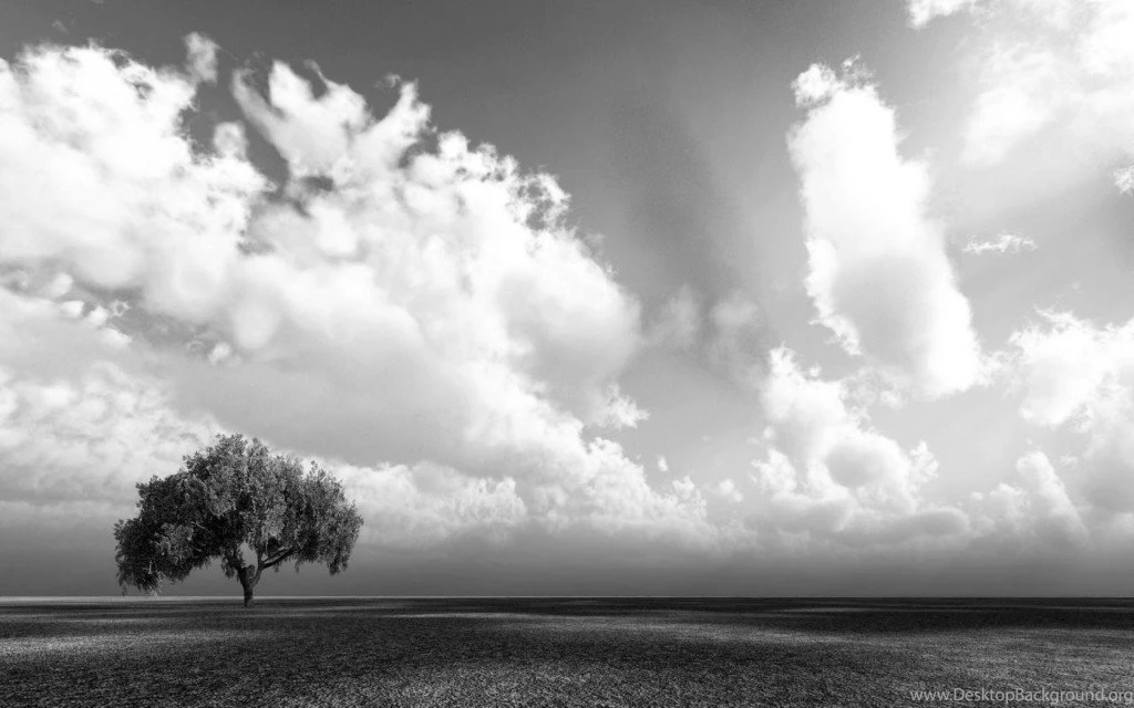 Black And White Lazy Beautiful Days Wallpapers : Nature & Landscape ...