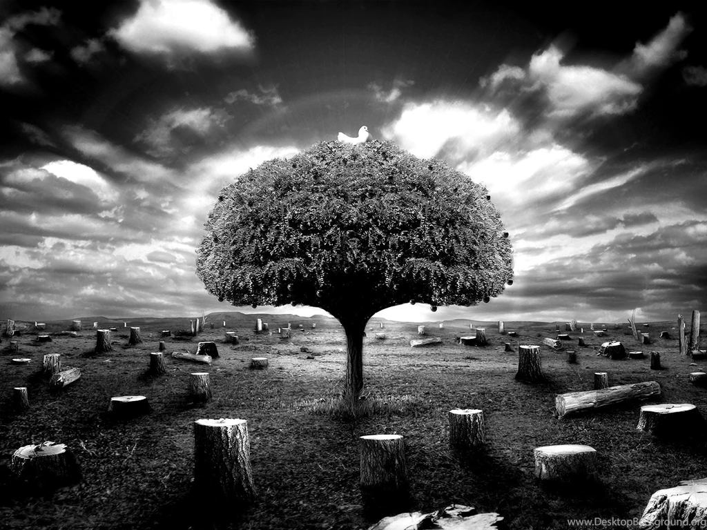 TOP 15 Black And White Wallpapers