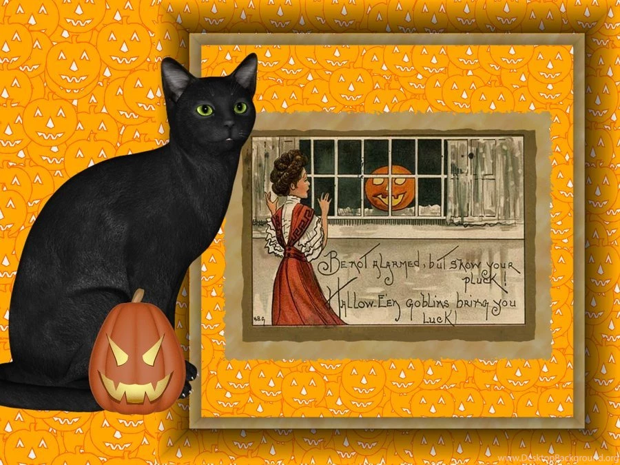 Halloween Wallpapers 23 By Ann McLaren On DeviantArt