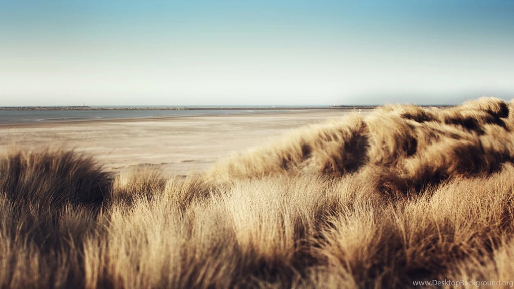 Theme Bin» Blog Archive » Dunes HD Wallpapers