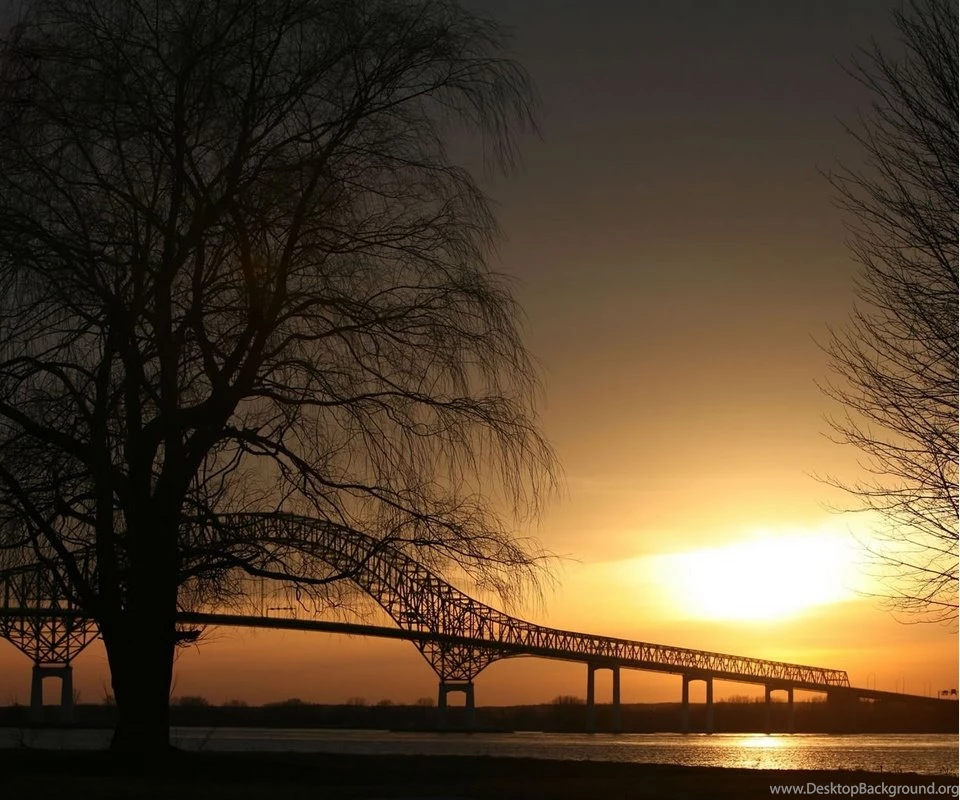 3d Silver I Love You Smartphone Wallpapers 480x800 Cellphone Hd ...