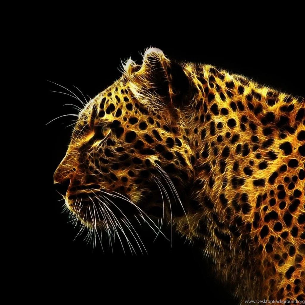 Big Cat