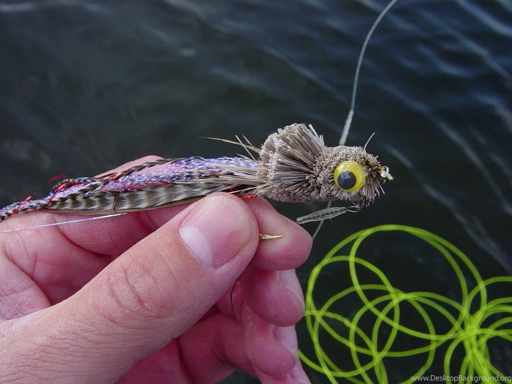 Fishing And Thinking In Minnesota: April 2006