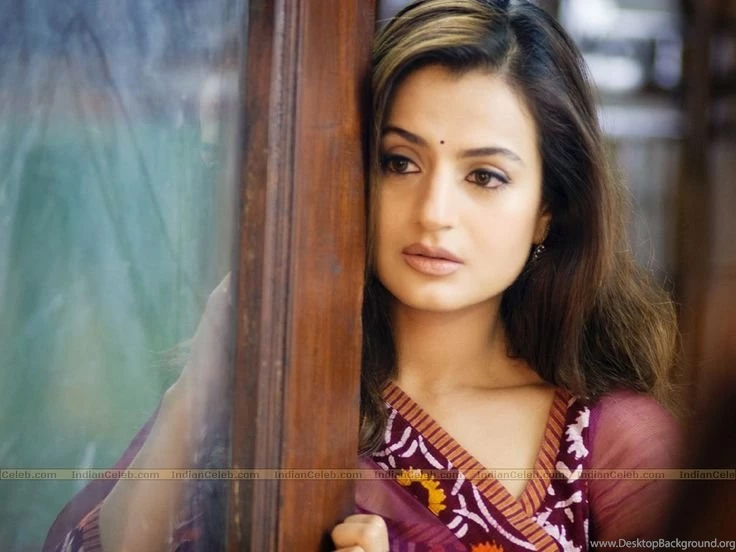Ameesha Patel Photos Ameesha Patel Wallpapers, Wallpapers Of ...