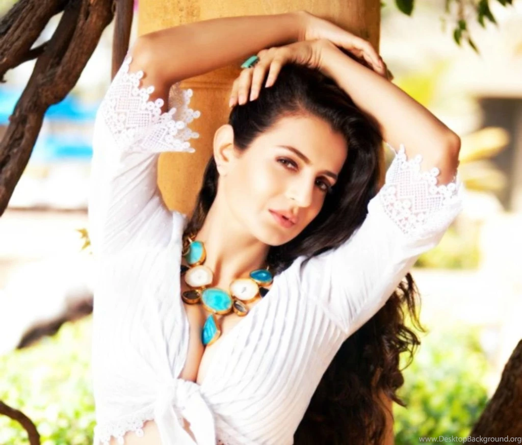 Amisha Patel Hot And Sexy Wallpapers