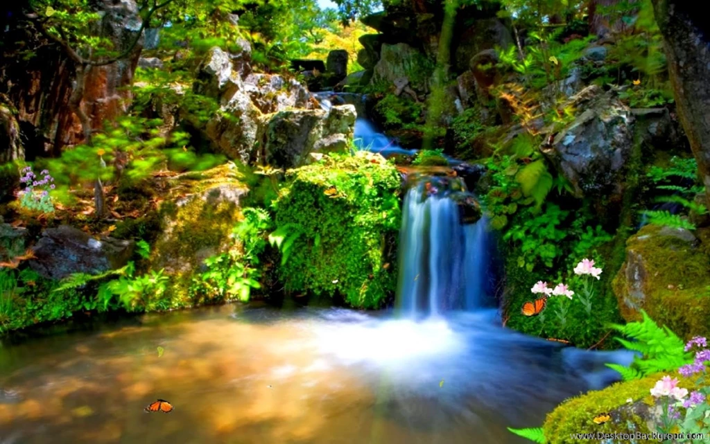 Animated Wallpapers For Mobile Phone