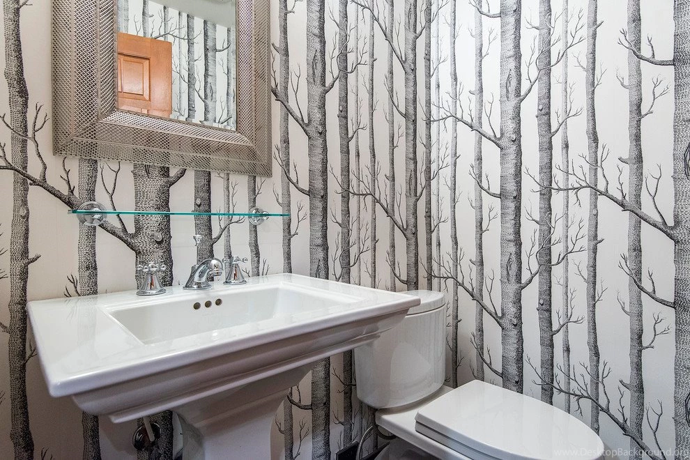 Birch Tree Wallpapers Powder Room Contemporary With Birch Tree ...