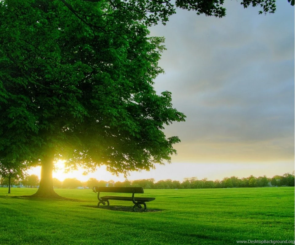 Download Free Nature Wallpapers Good Morning With Size 960x800 ...