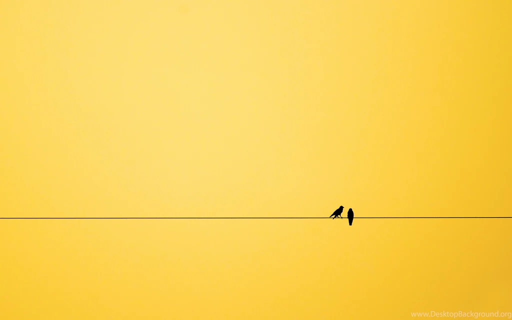 HD วอลล์เปเปอร์ นก พื้นหลัง, นก, ศิลปะ 2560x1600
