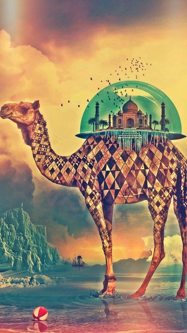 Camel And Middle East Architecture Wallpapers Free iPhone Wallpapers