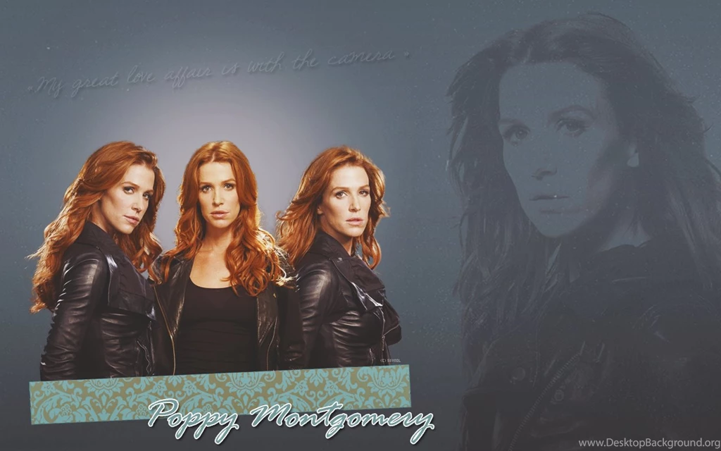 Poppy Montgomery Wallpapers